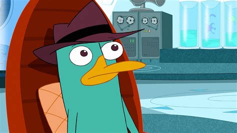 The Internet's Love Affair with Perry the Platypus